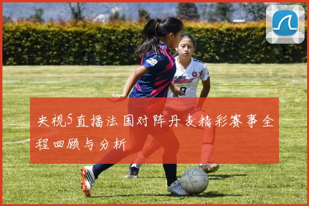 央视5直播法国对阵丹麦精彩赛事全程回顾与分析